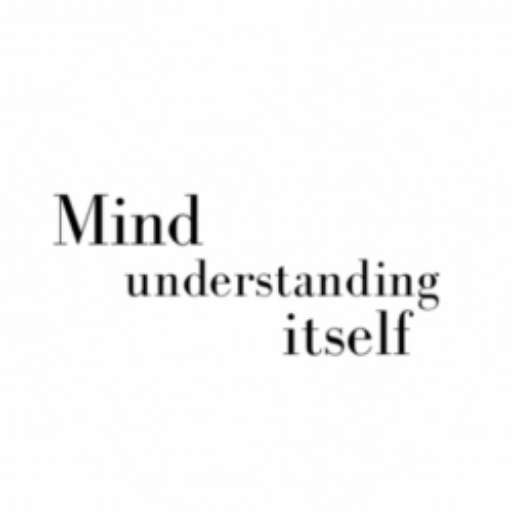 mindunderstandingitself